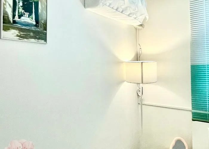 도화가 *