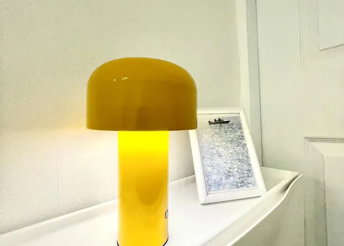 도화가